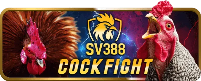 Sòng bạc trực tuyến okwin apk với người chia bài thật